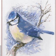 Схема вышивки «Зимняя птичка»