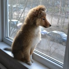 Схема вышивки «ожидание»