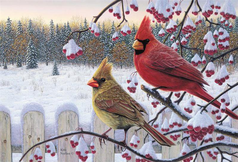 птицы - оригинал