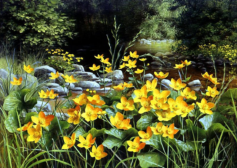 2153 - оригинал