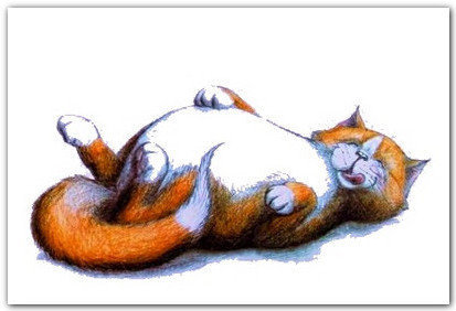 Обжора - животные, котик - оригинал