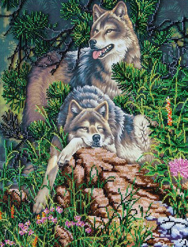 волк - хищники, животные, любовь, волки, хищник - оригинал