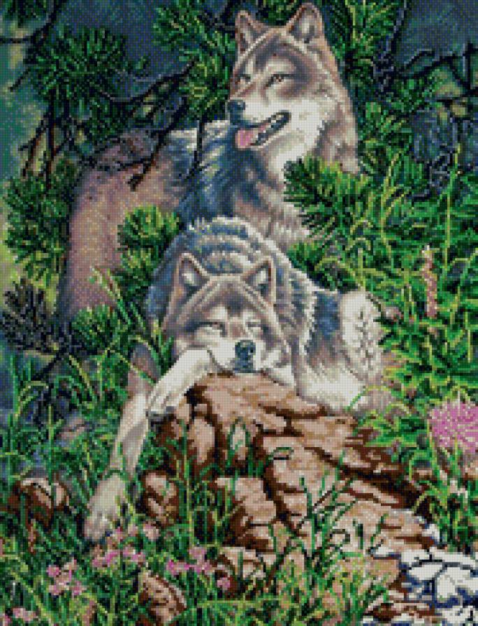 волк - любовь, хищник, животные, хищники, волки - предпросмотр