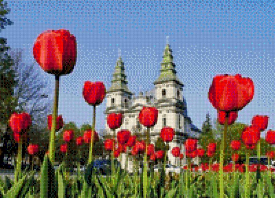 ternopil - предпросмотр