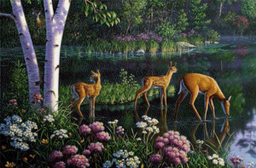 2168 - предпросмотр