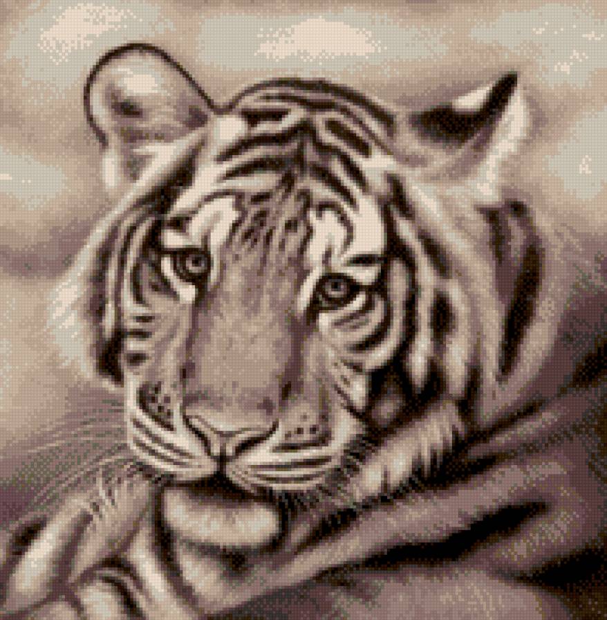 Белый тигр - монохром, живопись, животные, белый тигр - предпросмотр