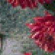 Предпросмотр схемы вышивки «котейка в хризантемах» (№659542)