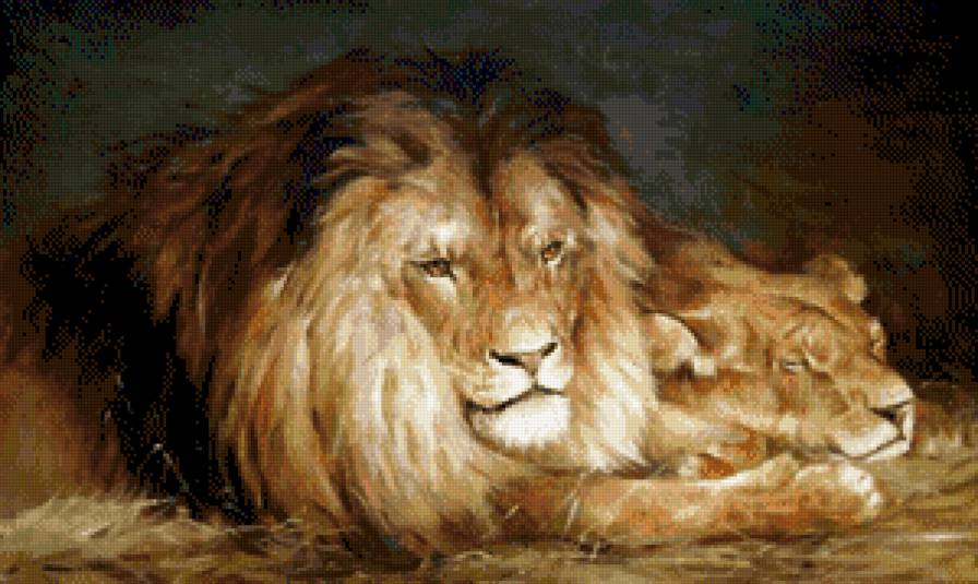 львы отдыхают - животные, живопись, львы, лев - предпросмотр