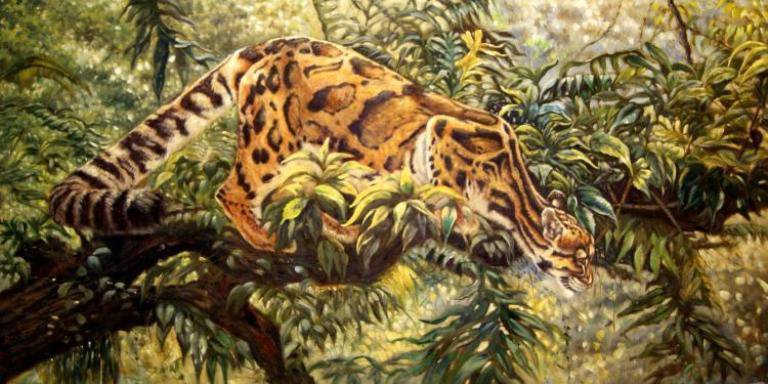 мастер маскировки - животные, джунгли, оцелот, живопись - оригинал