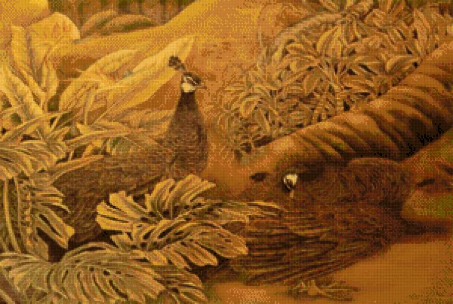 пара павлинов - пара, живопись, павлины - предпросмотр