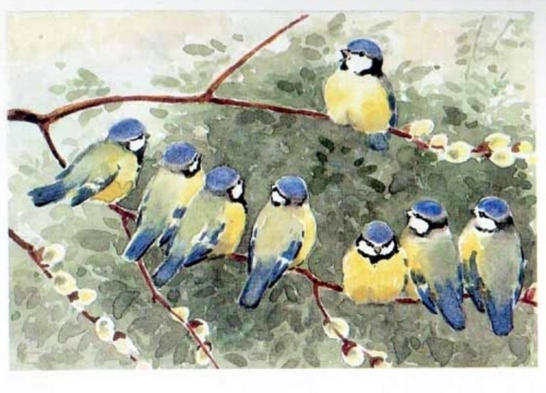 птички-синички - синицы, рисунок - оригинал