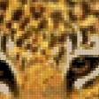 Предпросмотр схемы вышивки «ягуар» (№659605)