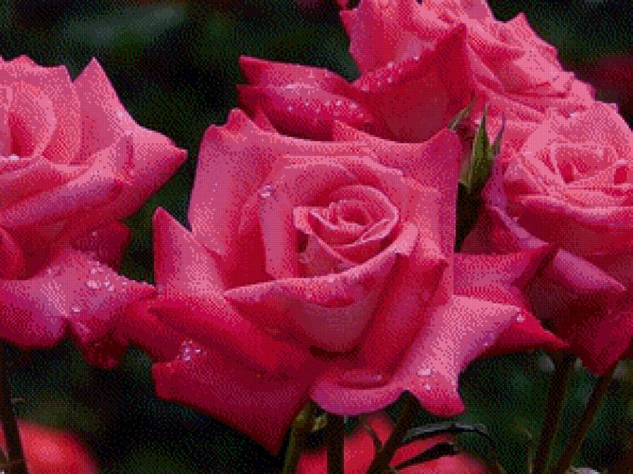 №659637 - предпросмотр