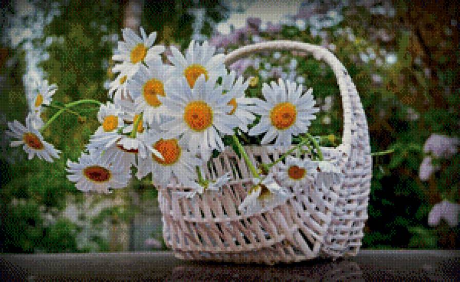 №659641 - предпросмотр