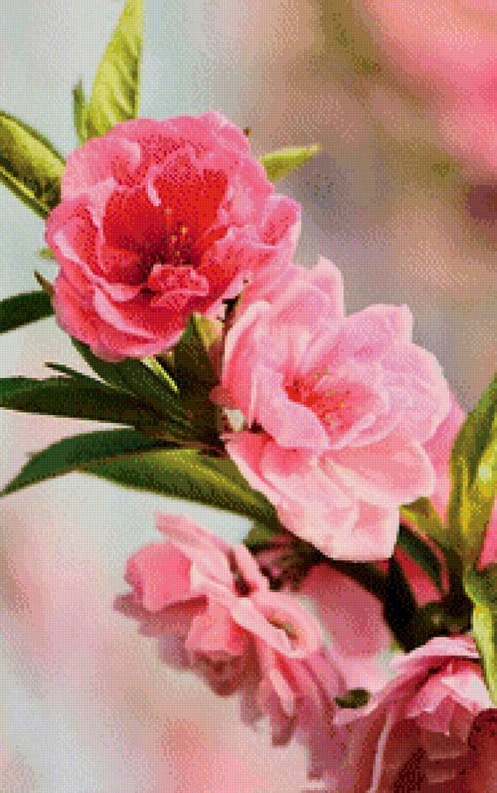 №659644 - предпросмотр