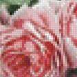Предпросмотр схемы вышивки «розы на столе» (№659662)