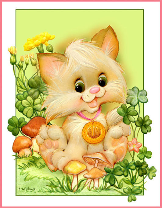 Котик - тварини - оригинал