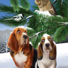 Схема вышивки «2169»