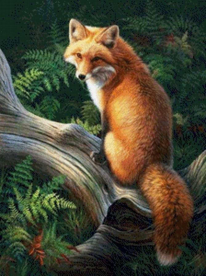 №660129 - предпросмотр