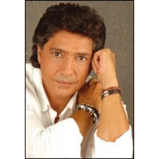 Схема вышивки «Chanteur»