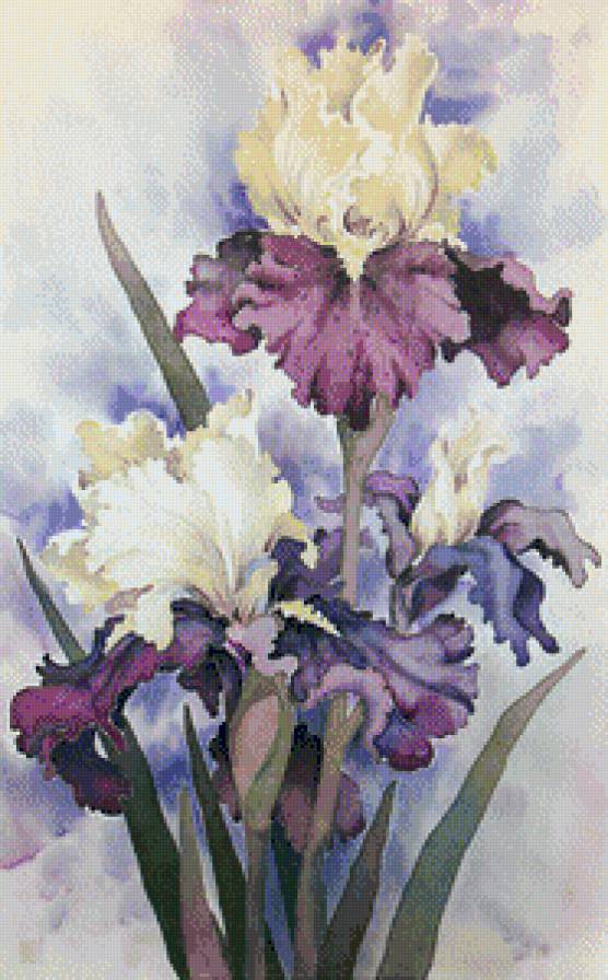 цветы - предпросмотр