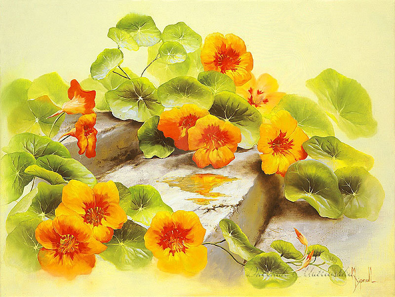 цветы - оригинал