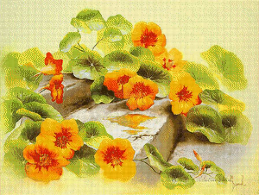 цветы - предпросмотр