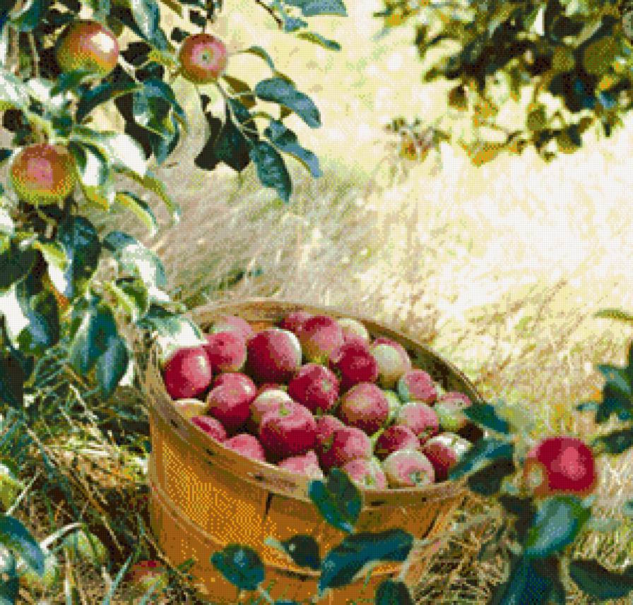 натюрморт - предпросмотр