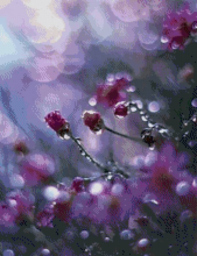 роса на цветах - роса, цветы - предпросмотр