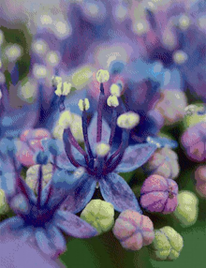 синие цветы - цветы - предпросмотр