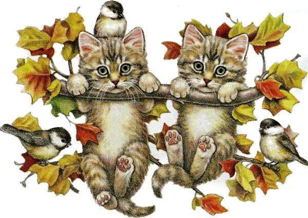 Испытатели - котята, птицы, животные, синички, ветка, коты - оригинал