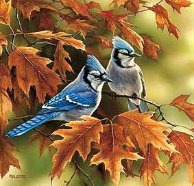 №660431 - оригинал