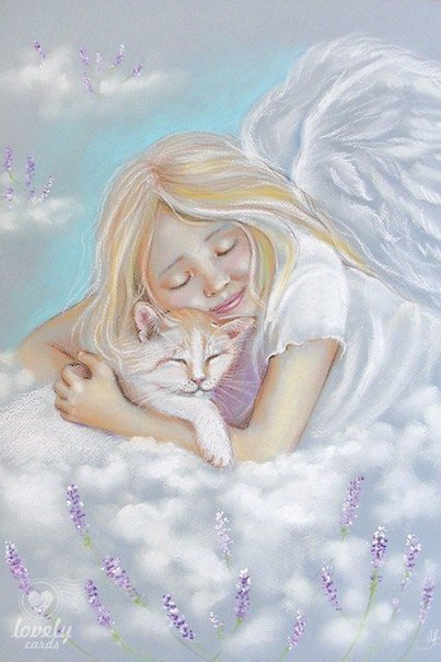 Ангельский сон - животные, ангел, сон, девочка, облака, кот - оригинал