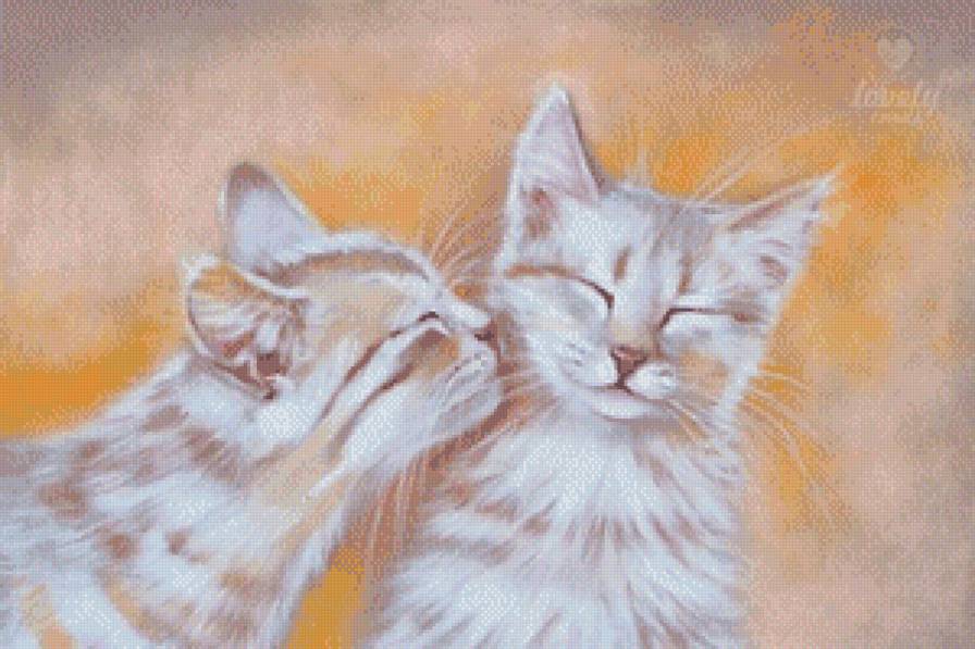 Поцелуй - любовь, поцелуй, кошки, животные - предпросмотр