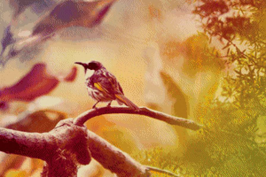 Птичка - птицы - предпросмотр