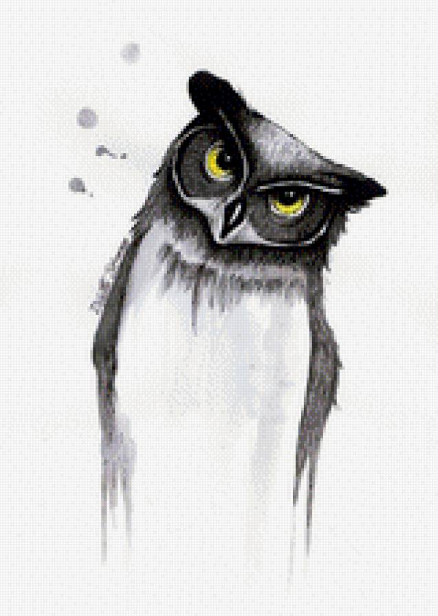 Сова - птицы - предпросмотр