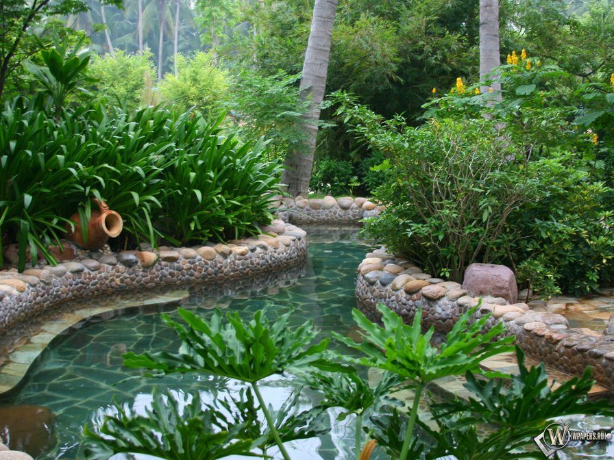 Китай - природа, пруд, вода - оригинал