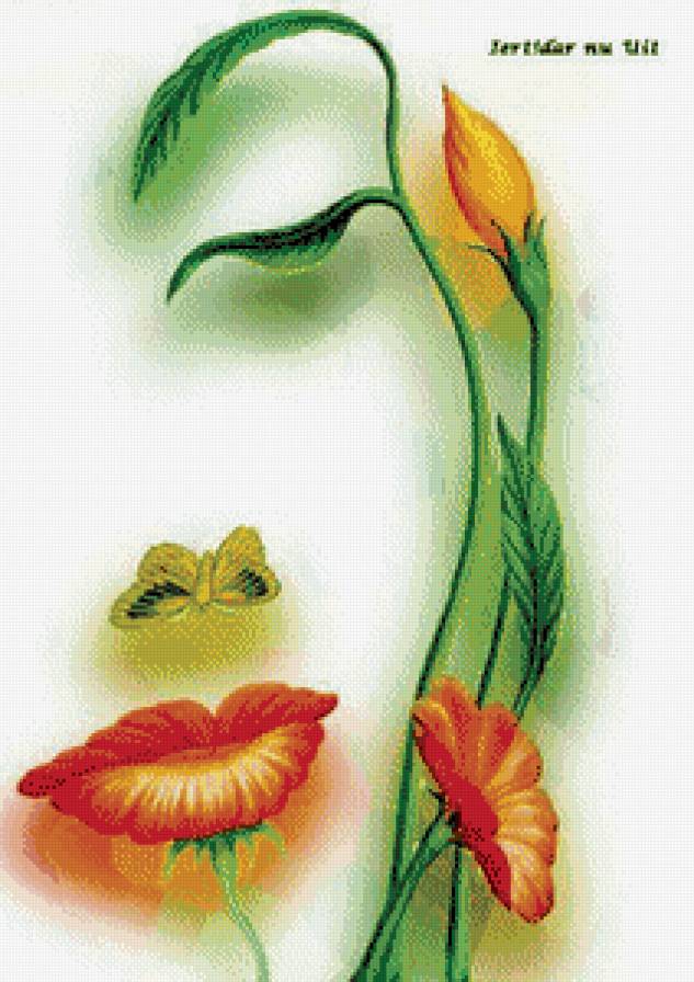 портрет из маков - цветы.маки.портрет.женщина - предпросмотр