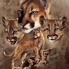 Схема вышивки «Félins»