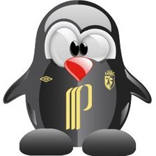 Схема вышивки «pingouin»