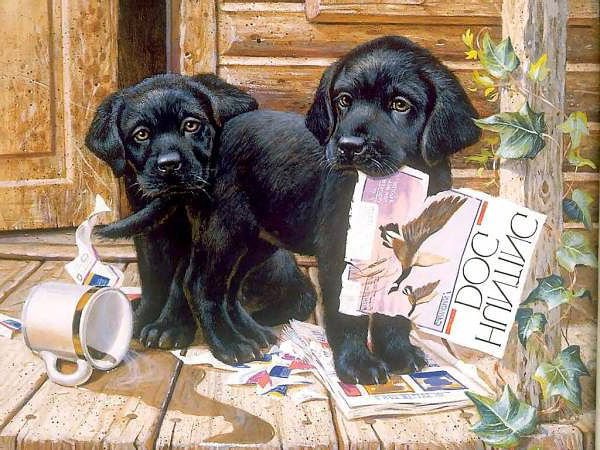 №661230 - оригинал