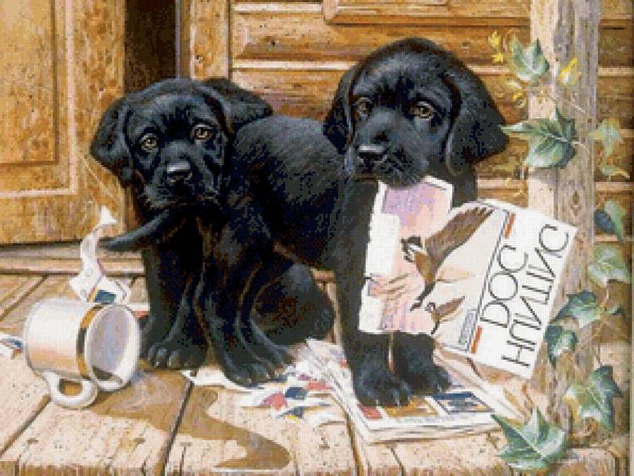 №661230 - предпросмотр