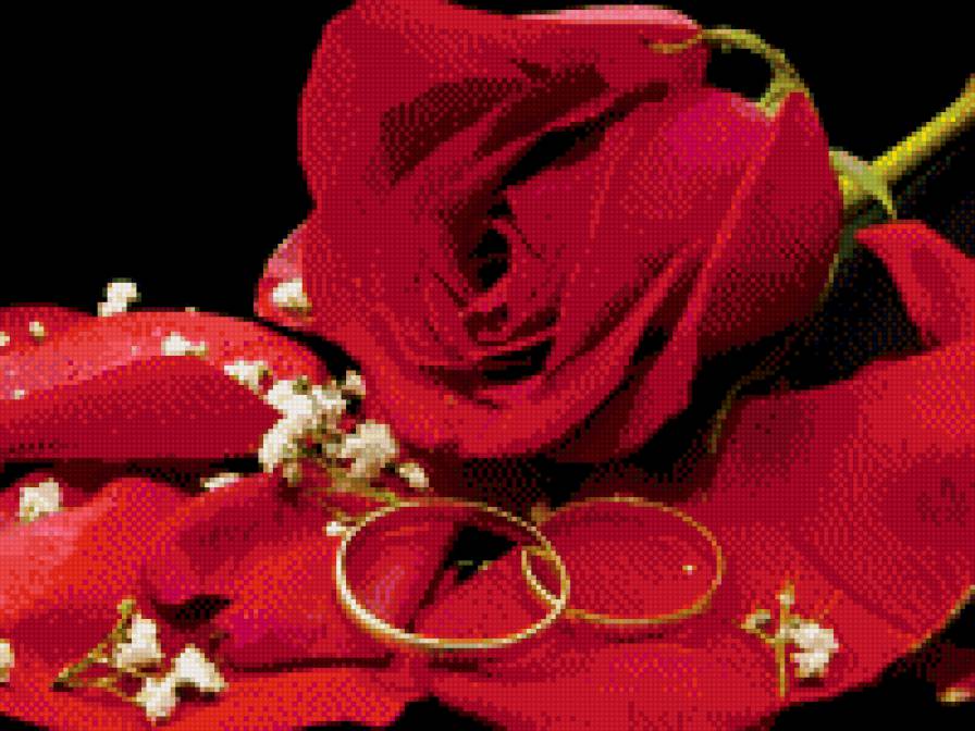 Свадьба - свадьба, розы, кольца - предпросмотр