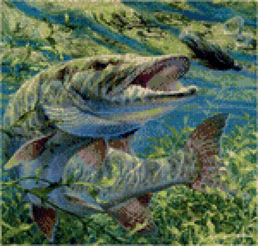 Щука - предпросмотр