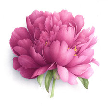 Схема вышивки «№661806»