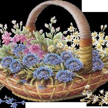 васильки в корзине