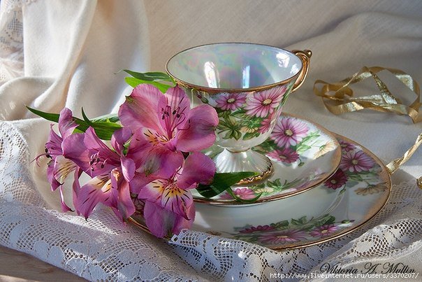 Чашка с цветком - чашка, натюрморт, цветок, стол - оригинал