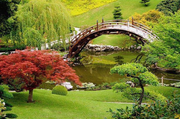 Мост через речку - пейзаж, природа, мост, река - оригинал