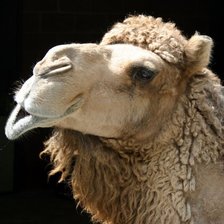 Схема вышивки «№662214»