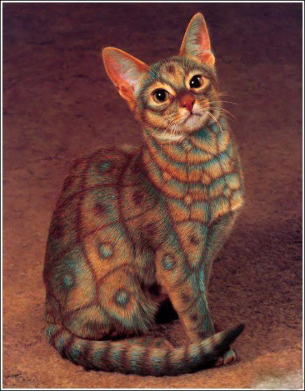 №662218 - оригинал